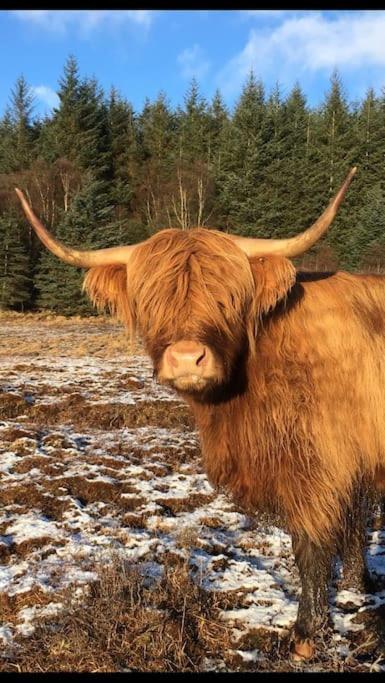 Carnach Lejlighed Fort William Eksteriør billede