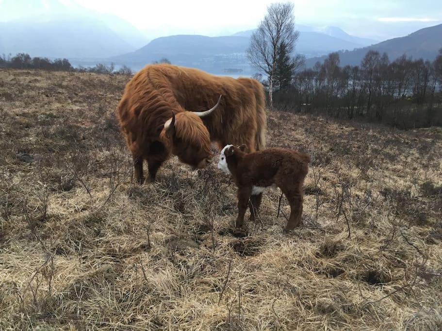 Carnach Lejlighed Fort William Eksteriør billede